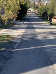 Native-Avenue-Northbound-1-768×1024-640×480-2