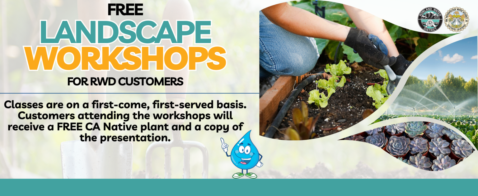 Landscape Workshops: Classes are on a first-come, first-served basis. It's free to RWD customers!